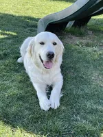 processed/ed61b68f-27c8-4987-97ab-c759092abcac/listing/8844c5a1-3887-4da8-a0d4-ae3281539cf2/b75d58e9-8c6a-4209-a619-46568af23270