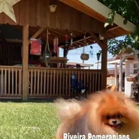 processed/ed62dc7e-c339-44ef-9a35-c859e8782930/facility/12b82226-f942-4ad6-a225-e0d9f43aa9cd