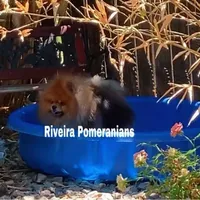 processed/ed62dc7e-c339-44ef-9a35-c859e8782930/facility/7a005acb-58f6-47c1-b82b-63a9edd6e3d8