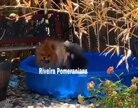 processed/ed62dc7e-c339-44ef-9a35-c859e8782930/facility/7a005acb-58f6-47c1-b82b-63a9edd6e3d8