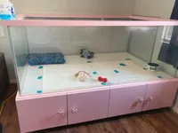 processed/ed62dc7e-c339-44ef-9a35-c859e8782930/facility/d5bcfd87-68ab-4bce-9253-9dd3e63da2a4