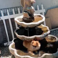 processed/ed62dc7e-c339-44ef-9a35-c859e8782930/facility/fa8e06c7-b679-49fb-893a-0b5b3d4217d5