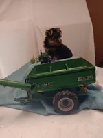 Blake, a male Yorkshire Terrier for sale in Seneca, IL – Photo 2 of 8