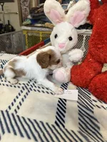 processed/ed64ed1e-a334-4495-a360-8d4e18784d2d/listing/aa8986d8-5dee-4155-8ffd-e90b4e83e927/2159872d-4491-494f-8138-5fe699a7734e