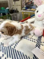 processed/ed64ed1e-a334-4495-a360-8d4e18784d2d/listing/aa8986d8-5dee-4155-8ffd-e90b4e83e927/ba9fa758-de36-4bad-966b-81287f11c885