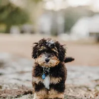 processed/ed698a79-dcaa-4b4a-9ebb-b255da0c728e/facility/136e4ae6-669c-47a0-a139-e00f4a668c77