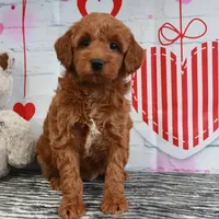 processed/ed698a79-dcaa-4b4a-9ebb-b255da0c728e/facility/91a6fadd-2ab3-4bae-b00d-c2f5883733ed