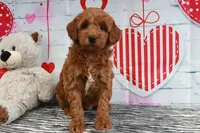 processed/ed698a79-dcaa-4b4a-9ebb-b255da0c728e/facility/91a6fadd-2ab3-4bae-b00d-c2f5883733ed