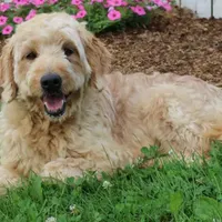 processed/ed698a79-dcaa-4b4a-9ebb-b255da0c728e/facility/cf9f665a-c6f6-400e-8c06-6a5945b77959