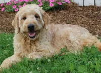 processed/ed698a79-dcaa-4b4a-9ebb-b255da0c728e/facility/cf9f665a-c6f6-400e-8c06-6a5945b77959