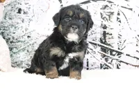 processed/ed698a79-dcaa-4b4a-9ebb-b255da0c728e/listing/105c0311-d25a-4630-95a8-839372c6a177/592ef49d-7982-4005-adb6-fffe3fb6e507