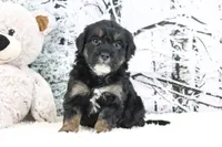 processed/ed698a79-dcaa-4b4a-9ebb-b255da0c728e/listing/105c0311-d25a-4630-95a8-839372c6a177/906ebe98-ec05-4022-81c2-26bfaeb17665