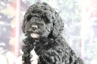 processed/ed698a79-dcaa-4b4a-9ebb-b255da0c728e/listing/3f41deda-b4f9-4350-bf6f-1bbd886958e7/29bac4da-51a3-40c9-b1f2-64b1ac35990e