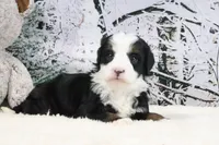 processed/ed698a79-dcaa-4b4a-9ebb-b255da0c728e/listing/4ad4fe20-dd88-4d9c-b57e-db4d7513179e/576b373f-ea6f-4cf2-9bb1-3be5bd05c379