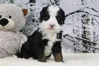 processed/ed698a79-dcaa-4b4a-9ebb-b255da0c728e/listing/4ad4fe20-dd88-4d9c-b57e-db4d7513179e/a8adc8f4-2982-4b21-b963-88eb07d81d49