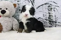 processed/ed698a79-dcaa-4b4a-9ebb-b255da0c728e/listing/4ad4fe20-dd88-4d9c-b57e-db4d7513179e/b0cb636b-4e67-46f8-a590-f1120d912d7b