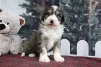 processed/ed698a79-dcaa-4b4a-9ebb-b255da0c728e/listing/e94a67e8-cf77-4fa0-b202-3fb6e49be827/81a561e4-e3a3-4bdc-b237-47eb834d54eb