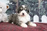 processed/ed698a79-dcaa-4b4a-9ebb-b255da0c728e/listing/e94a67e8-cf77-4fa0-b202-3fb6e49be827/d00ae1bb-269f-4124-8507-63adc565a823