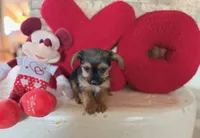 processed/ed7178d0-ad12-46a8-a30a-b274b4de3848/listing/23aa33d4-447c-4723-b895-8bdf7d1d9e19/58f80ef9-b6c5-4721-b1d6-92fd41893879