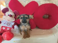 processed/ed7178d0-ad12-46a8-a30a-b274b4de3848/listing/23aa33d4-447c-4723-b895-8bdf7d1d9e19/5eea333a-6362-42c2-9488-614c0bd78756