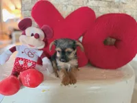 processed/ed7178d0-ad12-46a8-a30a-b274b4de3848/listing/23aa33d4-447c-4723-b895-8bdf7d1d9e19/d40a49d6-46b3-47d3-ae93-67e5824429a7