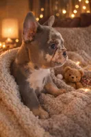 processed/ed7df76b-55ef-477f-b73a-407b3233f0e9/facility/5c785913-0b78-4fed-9068-84fc40df2505