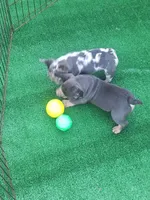 processed/ed7df76b-55ef-477f-b73a-407b3233f0e9/facility/698bf807-f0bd-4cc9-a4c2-386e70fc56db