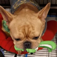 processed/ed7df76b-55ef-477f-b73a-407b3233f0e9/facility/6dcbbc6e-2fc3-47f7-bf67-0d047a7b9cdd