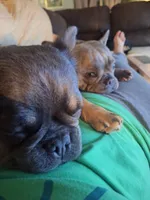 processed/ed7df76b-55ef-477f-b73a-407b3233f0e9/facility/b750611c-e2b3-465a-a4a6-8096fa938a72