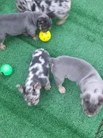 processed/ed7df76b-55ef-477f-b73a-407b3233f0e9/facility/d6ed7f62-6675-4feb-b40e-b4ed235ea777