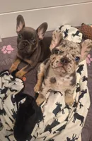 processed/ed7df76b-55ef-477f-b73a-407b3233f0e9/facility/f5555dd2-135a-434f-a2b7-b5e526b269c7