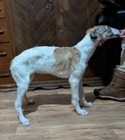 processed/ed831fbd-ae27-4b3f-85a4-009fa5c5986f/listing/36e7f62b-59a6-4ae9-8017-3a4e92546539/9a1871df-5045-47b4-8f7a-6efee9a2f15e