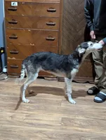 processed/ed831fbd-ae27-4b3f-85a4-009fa5c5986f/listing/37cffa03-9ef0-4948-bf09-a9b82e442018/45bb48f6-5a8d-46df-8608-ca60b9743607