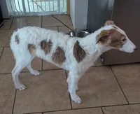 processed/ed831fbd-ae27-4b3f-85a4-009fa5c5986f/listing/7bf29ac9-4847-4486-85de-16f3689fa1a7/0a52c22f-c3c0-4aee-b94a-d0e08f796d92