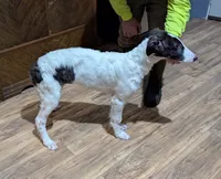 processed/ed831fbd-ae27-4b3f-85a4-009fa5c5986f/listing/c8133220-dda7-4e0c-83ed-d67ae8ab0cbe/4e796671-3d75-4060-81ca-6362710b4ca1