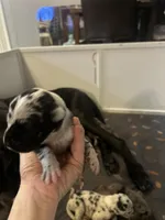 processed/ed8667aa-d845-48ca-9e75-8555a4a9051f/listing/b7d71433-2e56-4155-8c2c-ce6c05aced13/028fdcc8-ebf3-44bb-98f7-76337609268b