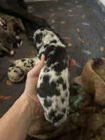 processed/ed8667aa-d845-48ca-9e75-8555a4a9051f/listing/b7d71433-2e56-4155-8c2c-ce6c05aced13/f84e364c-aee0-4688-9d23-e0c993eaf5e5