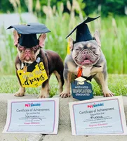 processed/ed91bf87-c1d1-4d56-bb11-46f9d9bd972f/facility/48a075aa-13d6-493b-a5a9-29d711e15356