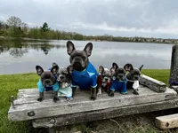 processed/ed91bf87-c1d1-4d56-bb11-46f9d9bd972f/facility/527f342b-7677-47c7-844b-64c1c0047e53