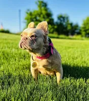 processed/ed91bf87-c1d1-4d56-bb11-46f9d9bd972f/facility/5c22ffc3-125d-4e9d-9e91-3de53bac929e