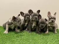 processed/ed91bf87-c1d1-4d56-bb11-46f9d9bd972f/facility/6a5ba1ec-e06e-49a4-9386-c096eed420de