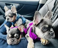 processed/ed91bf87-c1d1-4d56-bb11-46f9d9bd972f/facility/8e8cda82-4e4e-4551-935f-43c2238ac13e