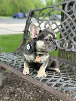 processed/ed91bf87-c1d1-4d56-bb11-46f9d9bd972f/facility/aef0fe0b-a4c7-4e27-90dc-9f036269586d