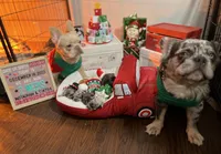 processed/ed91bf87-c1d1-4d56-bb11-46f9d9bd972f/facility/dcf7a12e-1358-4446-abf8-ebc9e18b2c21