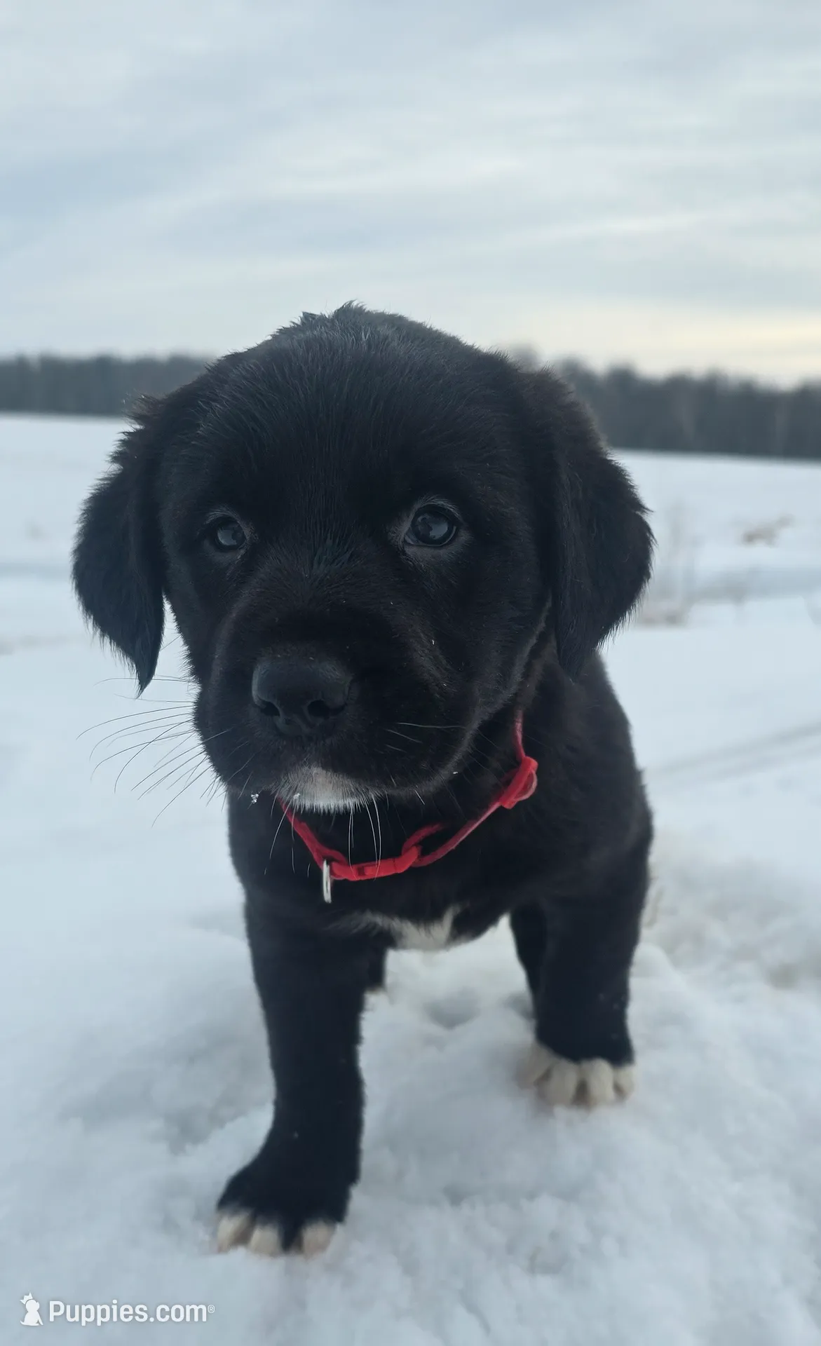 processed/ed944e70-2190-45f5-a254-e83fd484d0cd/listing/aef38cb7-bf13-460e-804b-1172899ed5e7/45b19567-8336-4656-9fae-9dda4f90fbc2