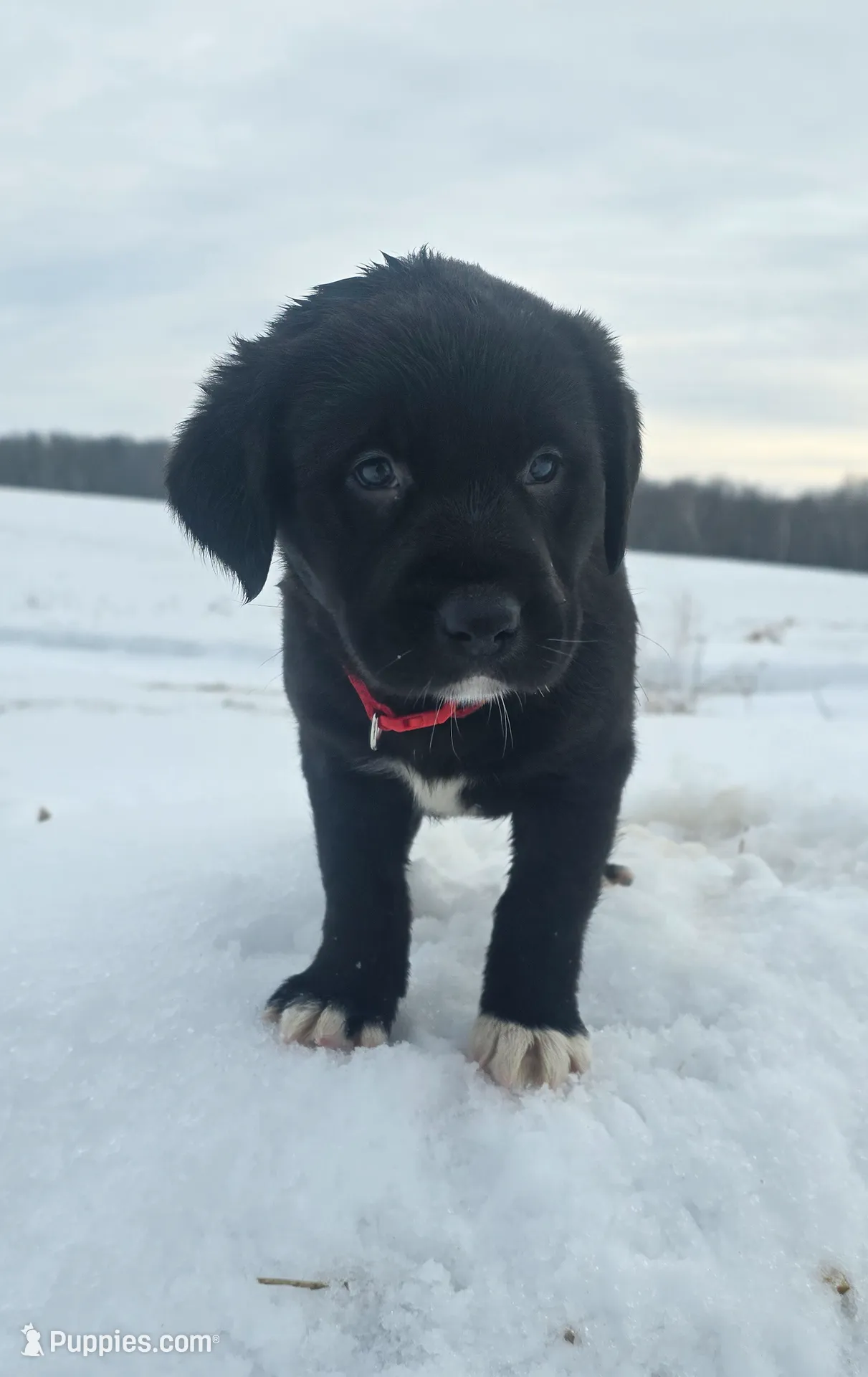 processed/ed944e70-2190-45f5-a254-e83fd484d0cd/listing/aef38cb7-bf13-460e-804b-1172899ed5e7/8c13f21d-3eb7-4fae-a961-7ef93fe9ce14