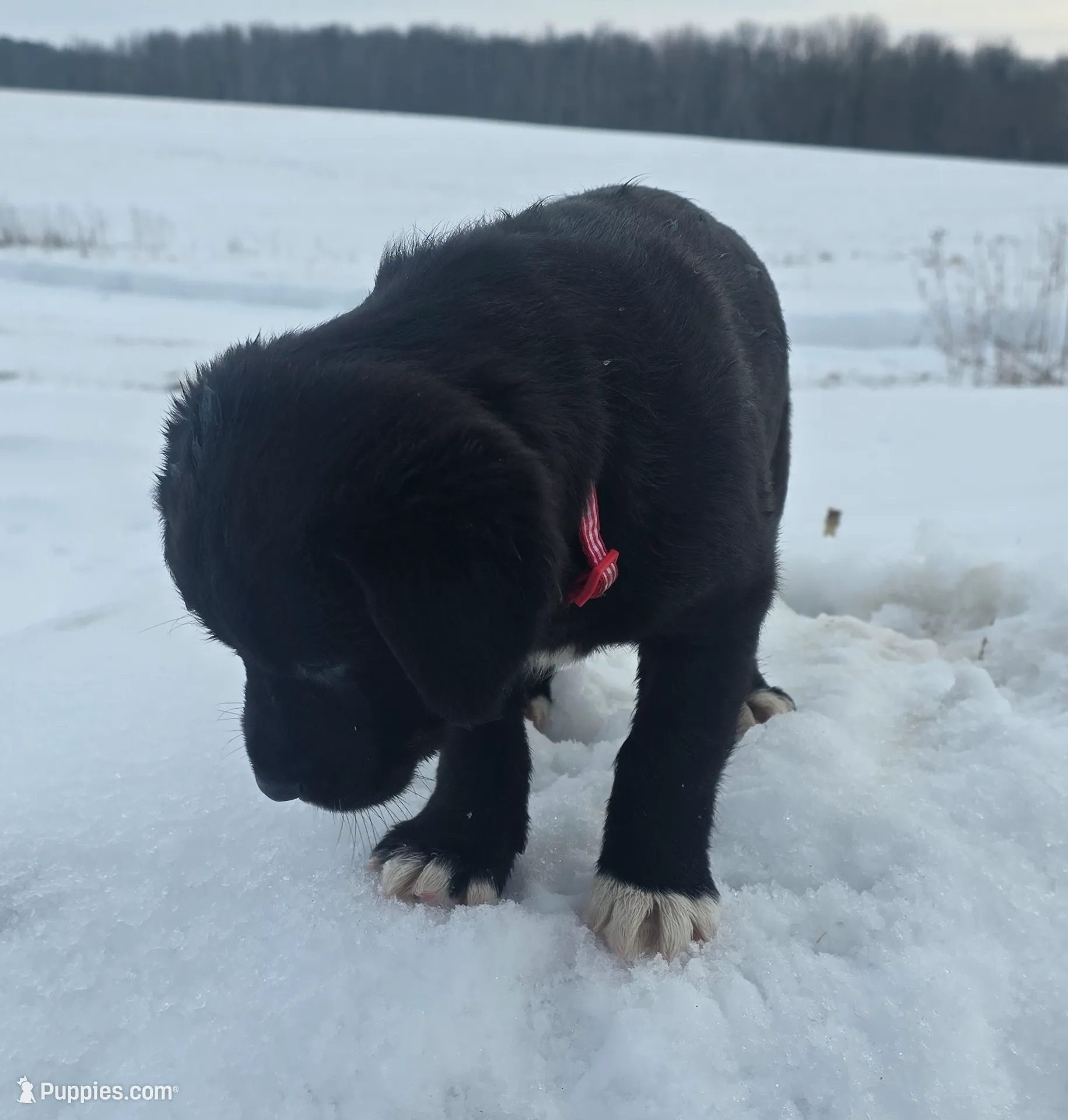 processed/ed944e70-2190-45f5-a254-e83fd484d0cd/listing/aef38cb7-bf13-460e-804b-1172899ed5e7/a3b0f425-0804-48bd-a312-3f8ab4c6b505