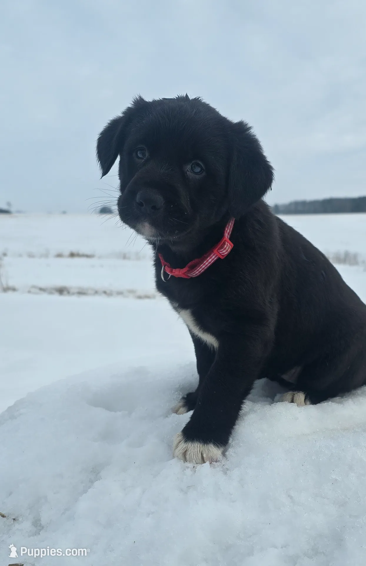 processed/ed944e70-2190-45f5-a254-e83fd484d0cd/listing/aef38cb7-bf13-460e-804b-1172899ed5e7/c643f28d-0261-48ab-984f-2f6651985f51