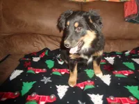 processed/ed975d11-cf7c-4339-b1b9-6260fdcfd076/listing/77513d87-d9db-42cd-b28e-eed4ae7856de/38cc3e1a-2609-4f39-919c-7dc6a3f47d2a