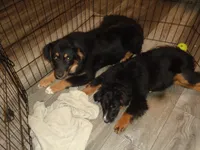 processed/ed975d11-cf7c-4339-b1b9-6260fdcfd076/listing/77513d87-d9db-42cd-b28e-eed4ae7856de/404533df-66f4-415a-b7ac-90a859696fb7